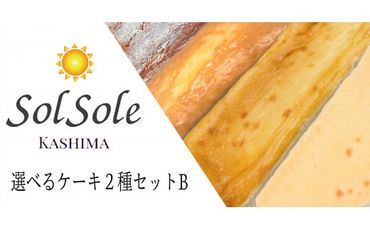 KBM-6　Sol soleの選べるケーキ2種セットB　無添加　 スイーツ デザート 鹿嶋市　ケーキ 送料無料
