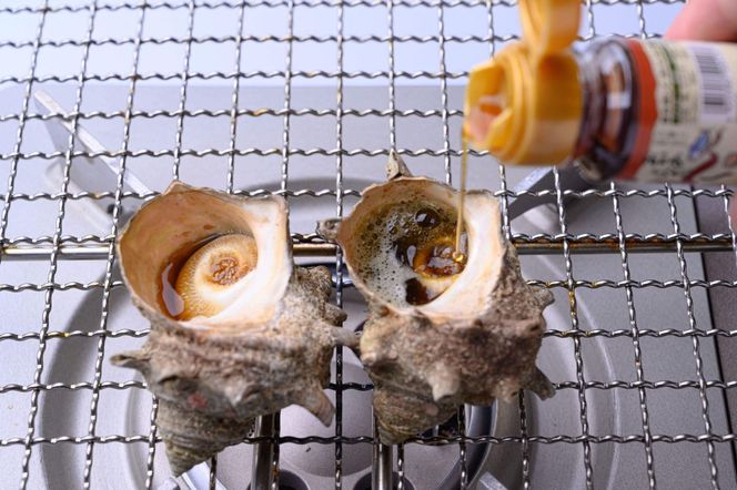 BBQに最適！　天然サザエ　ボイル済み　1.6K　中サイズ（16～21個）　※万能ダシ付き　UO00073