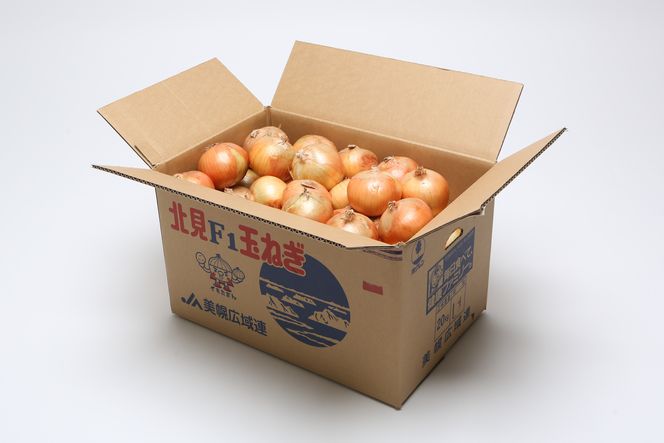 【令和8年産 先行受付】「数量限定訳あり品」玉ねぎMサイズ・20kg（2026年10月上旬より順次発送） BHRG063