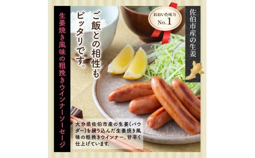 満足の1.19kg!おおいた味力ソーセージセット_1308R