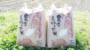 三崎蜂蜜保湿クリーム（20ml ×1本）（愛媛県伊方町） | ふるさと納税
