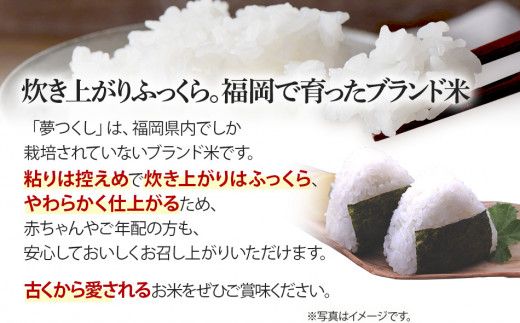 福岡県産ブランド米「夢つくし」白米　計10kg(5kg×2袋)