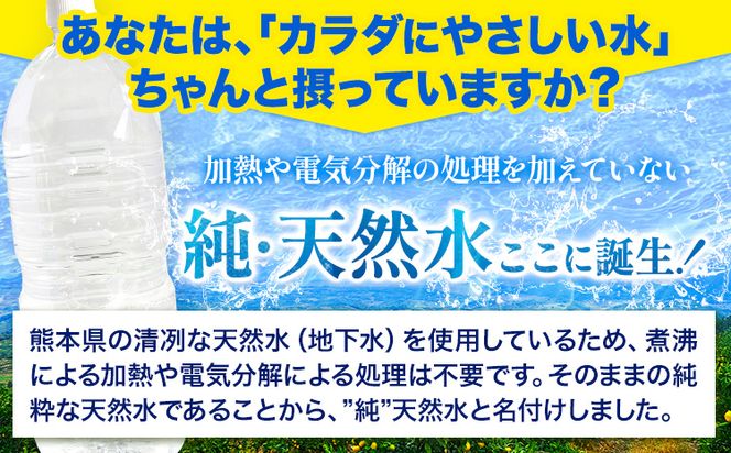 熊本イオン純天然水 ラベルレス 2L×10本 《1-5日以内に出荷予定(土日祝除く)》2l 水 飲料水 ナチュラルミネラルウォーター 熊本県 玉名郡 玉東町 完全国産 天然水 くまモン パッケージ---gkt_lcl_246_10h---