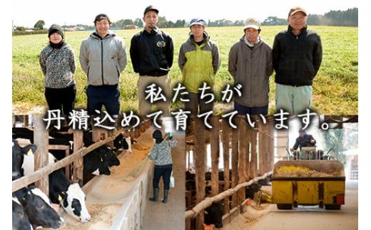 ＜宮崎ハーブ牛 高鍋産焼酎もろみ漬けサイコロステーキ 合計約600g＞入金確認後、翌月末迄に順次出荷【c292_fw_x2】