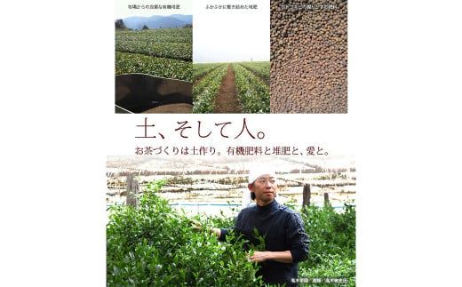 奥八女星野村 深蒸し高級煎茶 深蒸し茶 約100g×1袋 煎茶 お茶 緑茶 茶葉 深むし茶 八女茶 飲料