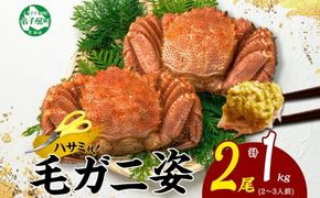 3319. 毛蟹 2尾 計1kg前後 食べ方ガイド・専用ハサミ付 カニ かに 蟹 海鮮 ボイル 送料無料 北海道 弟子屈町