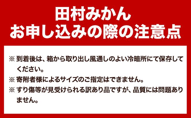 【先行予約】みかん 高級ブランド 田村みかん 5kg 株式会社魚鶴商店《11月下旬-2月上旬頃出荷(土日祝除く)》和歌山県 日高町 柑橘 フルーツ くだもの 果物---wsh_uot92_11g2j_25_17000_5kg---