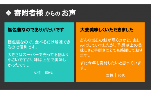 【すごい品掲載】大槌 ご当地サーモン 銀鮭 詰合せ (10切入)  【0tsuchi00901】