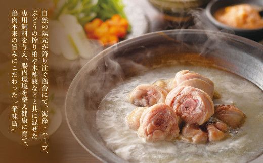 博多華味鳥 水たき セット ( 5～6人前 ) 鶏肉 鍋 水炊き お取り寄せ 冷凍