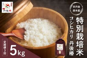 令和6年産 特別栽培米コシヒカリ 丹後椿（京丹後森本産） 5kg【定期便3回】　AG00010