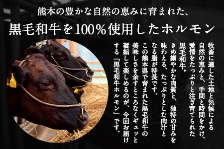 黒毛和牛ホルモン800g(200g×4袋) ブランド牛 有限会社トップルーフ《60日以内に出荷予定(土日祝除く)》---so_ftopkrhr_60d_21_25500_800g---