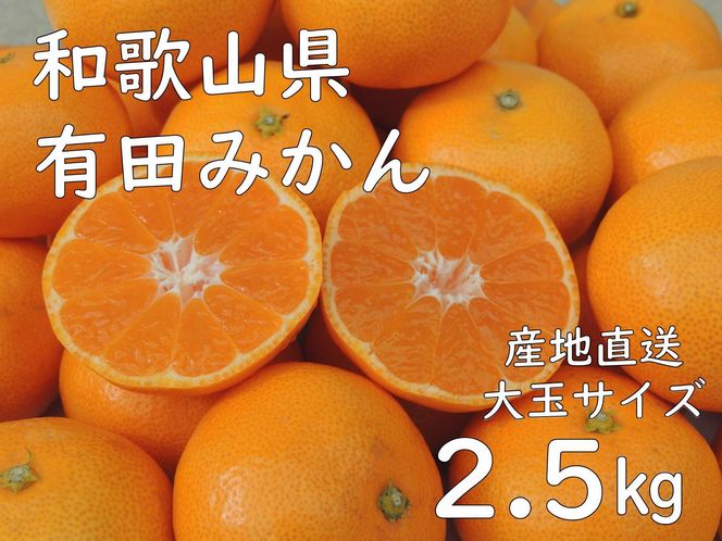 和歌山県産 有田みかん 大粒サイズ 2.5kg 【先行予約】BA42