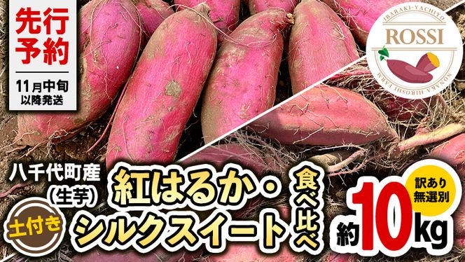 【 先行予約 2024年11月中旬以降発送 】 訳あり 無選別 八千代町産 紅はるか シルクスイート 2種 食べ比べ 生芋 土付き 合計 約 10kg さつまいも サツマイモ 芋 いも イモ ワケアリ 訳アリ 八千代町 ふるさと納税 8000円[AX045ya]