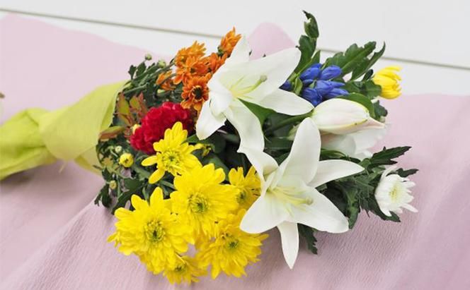 yÉ}sẑDXiԑg2j1NR[X[ PT0065-020000]