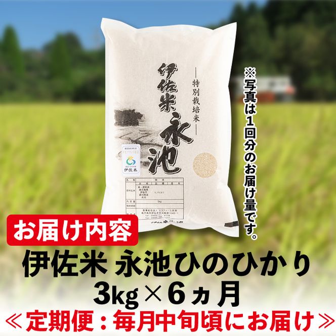 C0-09 【定期便】令和8年産 特別栽培米 伊佐米永池ひのひかり(計18kg・3kg×6ヶ月) 伊佐市 永池 新米 お米 米 白米 精米 伊佐米 食味コンテスト 最優秀賞受賞 ヒノヒカリ 【エコファーム永池】