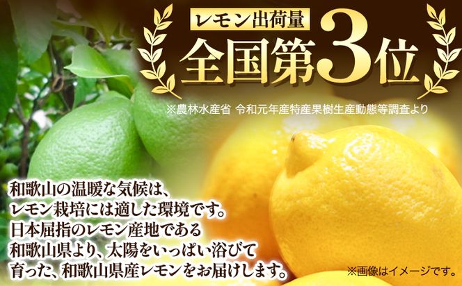 和歌山県産レモン 約3kg (サイズ混合) 厳選館 《3月中旬-6月中旬頃出荷》 和歌山県 日高町 レモン 柑橘 果物 フルーツ 送料無料---wsh_gsk17_q36_23_13000_3kg---