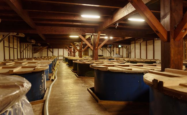 【9本入り】本みりん九重櫻 4.5L(500ml×9本) 三河みりん発祥の醸造元 九重味淋 みりん 大容量 ミリン 味醂 醸造のまち 碧南 国内産 水稲もち米 米こうじ 簡単プロの味に 本格米焼酎 全国酒類品評会 名誉大賞 受賞 調味料 料理 厳選素材 H002-091