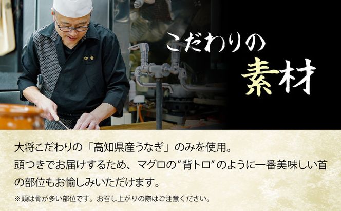 初音の厳選高知県産うなぎ蒲焼き２尾　 hn093!