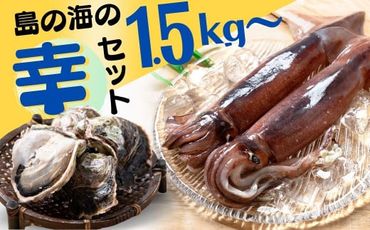【島の海の幸コラボ】特大寒シマメ丸ごと2本×ブランド岩牡蠣Sサイズ５個