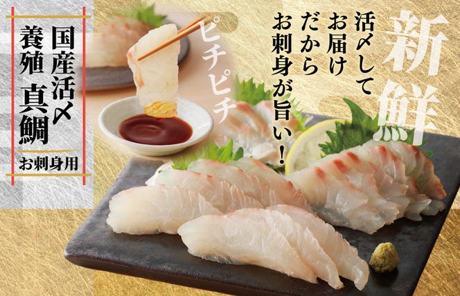 nbj0004 【南予ビージョイ】サーモン＆国産活〆 真鯛  お刺身セット【小分け 訳あり サイズ不揃い 刺身 海鮮丼 人気 オススメ 冷凍】