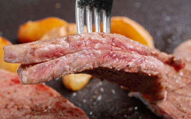 サロマ和牛 サーロインステーキ 600g（200g×3） SRMD002