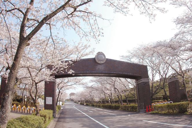 公営 飯盛霊園 合葬墓「虹の丘」使用権(合葬) / 飯盛霊園組合 / 大阪府 守口市 [20940613]