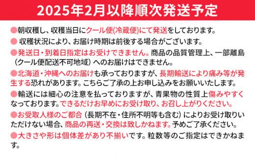 【先行予約/2025年】あまおうプレミアム 約270g×4パック《2025年2月以降順次発送》 農家直送 あまおう いちご 苺 フルーツ お取り寄せグルメ お取り寄せ 福岡 お土産 九州 福岡土産 取り寄せ グルメ 福岡県 【北海道・沖縄・離島への配送不可】