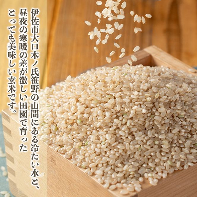 isa560 伊佐のおいしい棚田米〈玄米〉 ヒノヒカリ(計12kg・2kg×6袋)【薩摩美食倶楽部】