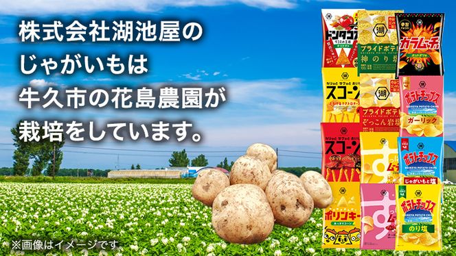 カルビー 湖池屋 人気 24種 詰め合わせ お楽しみ スナック菓子 セット カルビー 湖池屋 ポテトチップス ポテチ お菓子 おかし 大量 スナック おつまみ ジャガイモ じゃがいも まとめ買い Calbee ポテト おまかせ 数量限定 [DA006us]