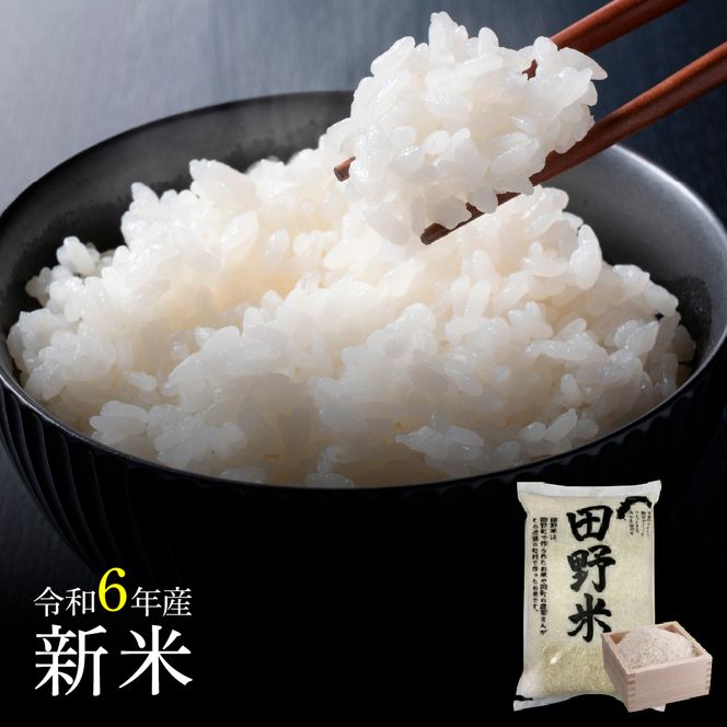 ★ 令和5年産 新米 ★【四国一小さなまち】 田野米  30kg （ 5kg × 6袋 ） ～ 精米 ・ 白米 ～