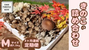 【 3ヶ月連続定期便 】きのこ の詰め合わせ Mサイズ ( 約1.5kg ) （茨城県共通返礼品：城里町） キノコ セット 野菜 低カロリー ダイエット デトックス バラエティ セット 新鮮 [DY006us]