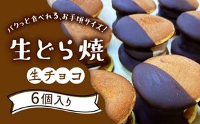 生どら焼き どらパク 生チョコ 6個入り / 南島原市 / 吉田菓子店 [SCT021]