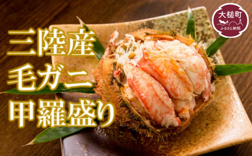[2026年2月中旬より発送]毛ガニ甲羅盛り1人分100g〜130g×2人分[0tsuchi01221]