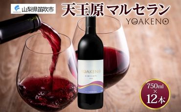 《無地熨斗 対応可》YOAKENO 天王原マルセラン 750ml×12本 177-4-084