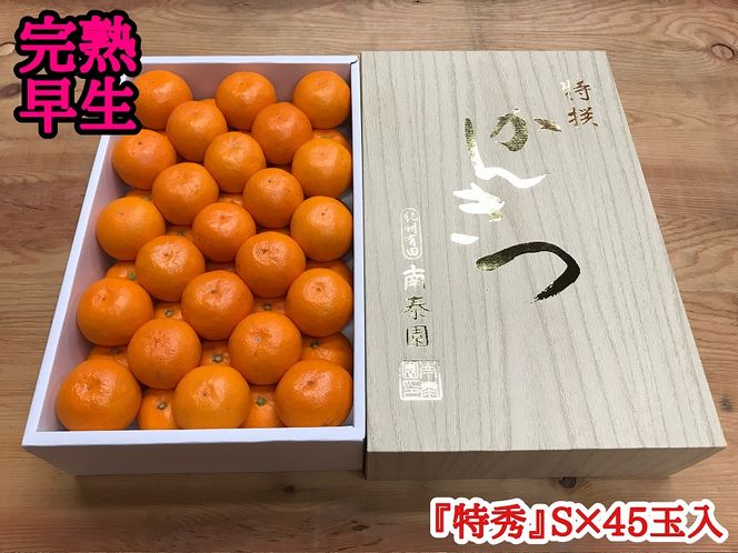 ya̎RLc쒬zN n Lc݂ ϔ G S TCY 45ʓ a̎R ׉ ݂ BS636