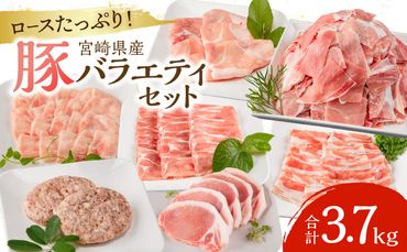 宮崎県産豚 バラエティセット 7種 合計3.7kg_M132-038-SS