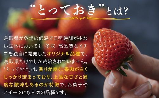 1173 鳥取県産とっておき「温泉いちご」大きさいろいろ詰め合わせ 1キロ