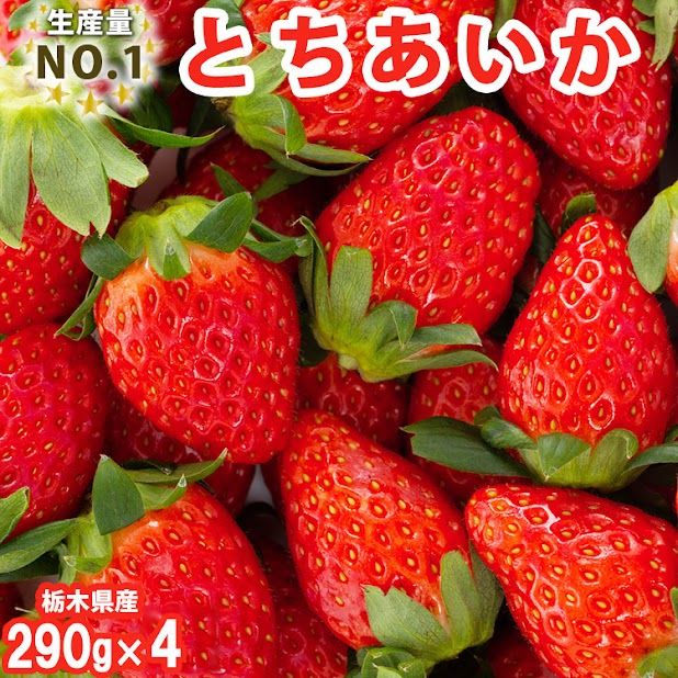 【先行予約】【数量限定】とちあいか 290g×4パック【いちご イチゴ 苺 真空パック】 ※2023年11月上旬頃より順次発送予定