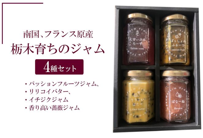 yȖ،sz썑AtXY@Ȗ؈炿̃WSZbgipbVt[cWARCo^[AC`WNWA荂KNWj ws