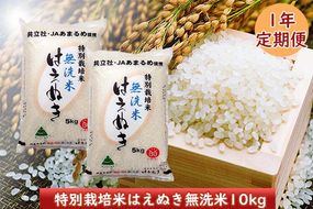 ＜1月開始＞庄内米１年定期便！ 特別栽培米はえぬき無洗米10kg（入金期限：2024.12.31）