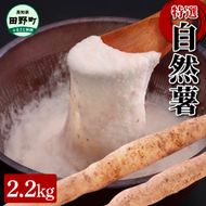 【四国一小さなまちの自然薯】★2024年12月中旬発送開始★ 田野町特選 『 令和6年産 自然薯 』 約2.2kg