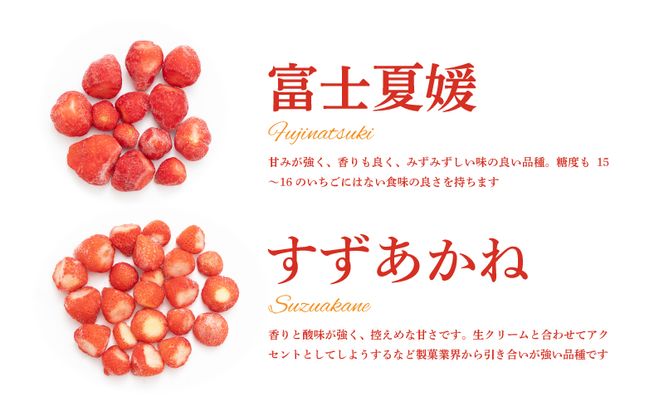 冷凍いちご 5袋詰合せセット BB020（山梨県都留市） | ふるさと