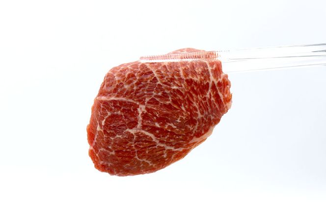 【肉職人厳選】 至福の焼肉セットB 計約1kg 最高等級A5ランク 仙台牛 加美町産ブランド豚 おだしまポーク 国産鶏せせり [関精肉畜産 宮城県 加美町 44581358] 牛カルビ 焼き肉 牛 豚