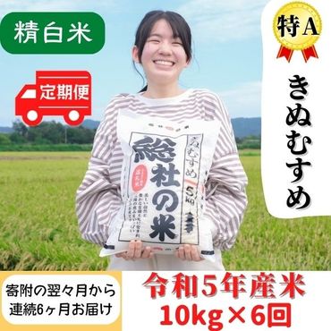 【令和5年産】特Aきぬむすめ【精白米】10kg岡山県総社市産〔6回定期便〕23-054-003