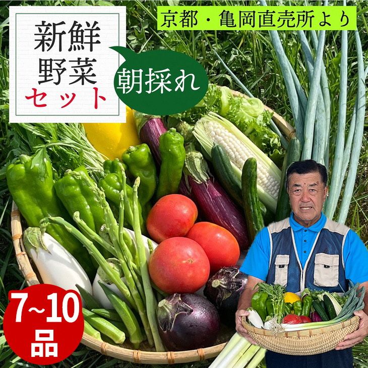 [価格改定]新鮮 旬の野菜セット 7〜10品目 京都 佐伯の里 京都丹波・亀岡産 季節の野菜詰め合わせ 朝採れ 直送 訳あり 家計応援 生活応援 お試し[価格改定10000円→8000円] ※北海道・沖縄・離島への配送不可