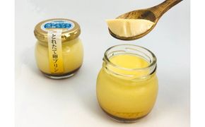 南アルプス山麓プリン（とれたて卵のプリン）１６本セット　ぷりん プリン たまご 卵 鶏卵 お菓子 おやつ スイーツ