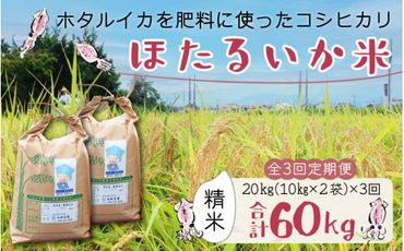 【訳あり】ほたるいか米（精米20kg）×3回 計60kg【3ヶ月定期便】