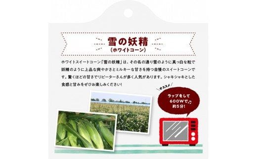 【令和6年発送】 宮崎県産 とうもろこし 大山さんちの ホワイトコーン ( 雪の妖精 ) 6～8本 【 先行予約 数量限定 期間限定 スィートコーン 2024年発送 先行受付 宮崎県産 九州産 】 [E7105]