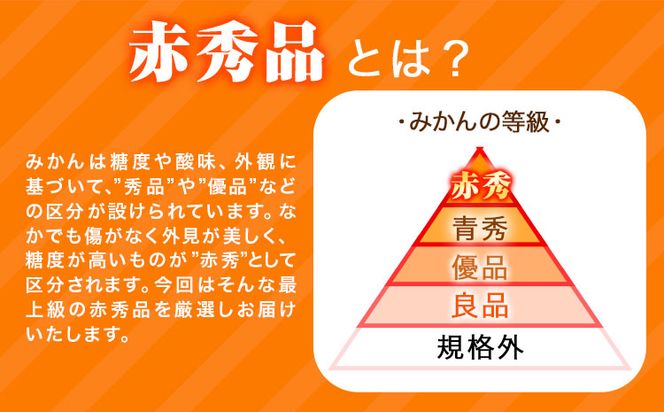 【先行予約】赤秀品　紀州有田産 濃厚完熟温州みかん 3kg(MサイズまたはSサイズ) 魚鶴商店《2024年11月下旬-2025年2月上旬頃出荷予定》和歌山県 日高町 みかん ミカン 蜜柑 フルーツ 柑橘---wsh_utsskaum_l112_23_12000_3kg---