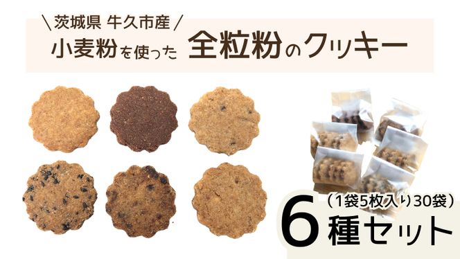 茨城県 牛久市産 小麦粉 使用 全粒粉 の クッキー 6種 ( 30袋 ) セット 詰合せ 全粒粉 クッキー 焼き菓子 お菓子 スイーツ ココア チョコ ごま みそ 落花生 子ども おやつ おつまみ [BD008us]